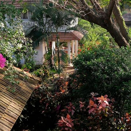 Gaia'S Garden Guest House Auroville Exteriér fotografie