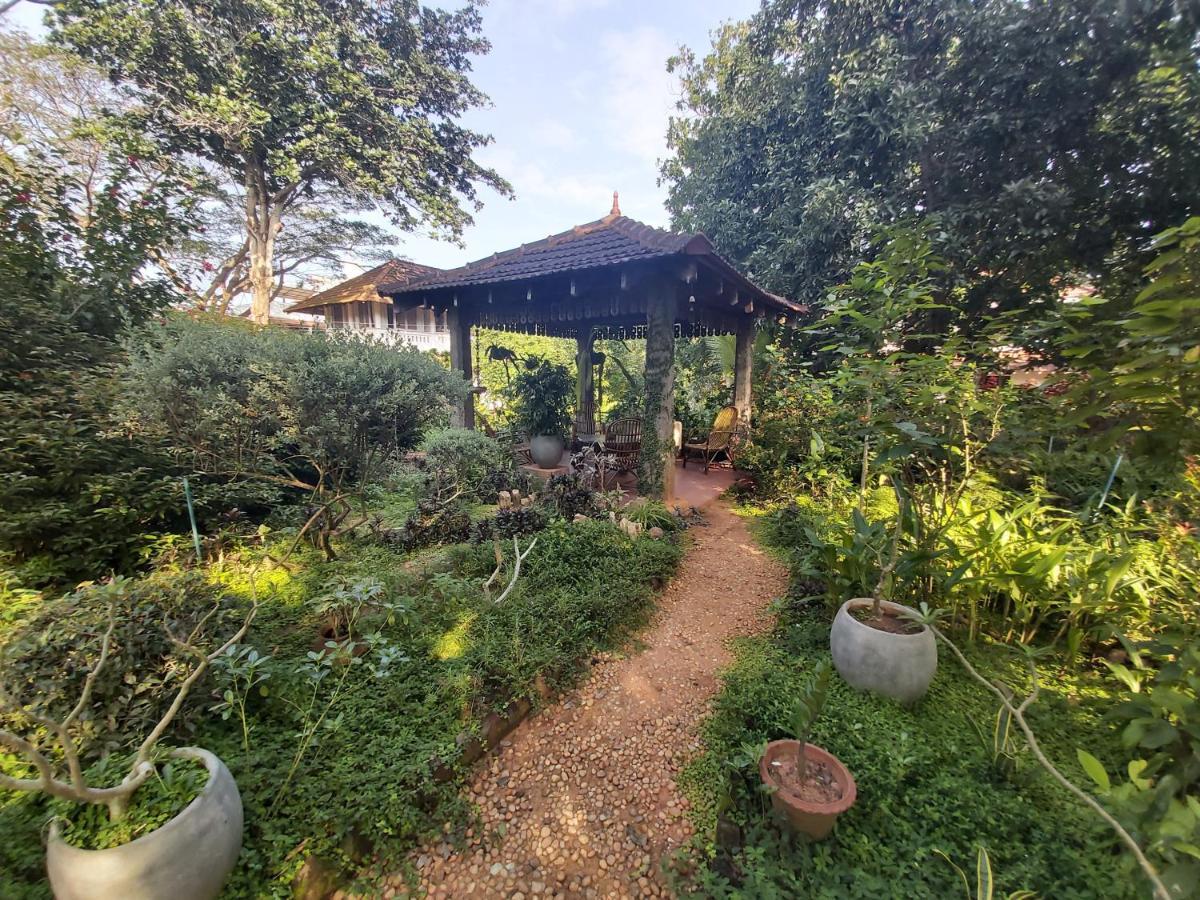 Gaia'S Garden Guest House Auroville Exteriér fotografie