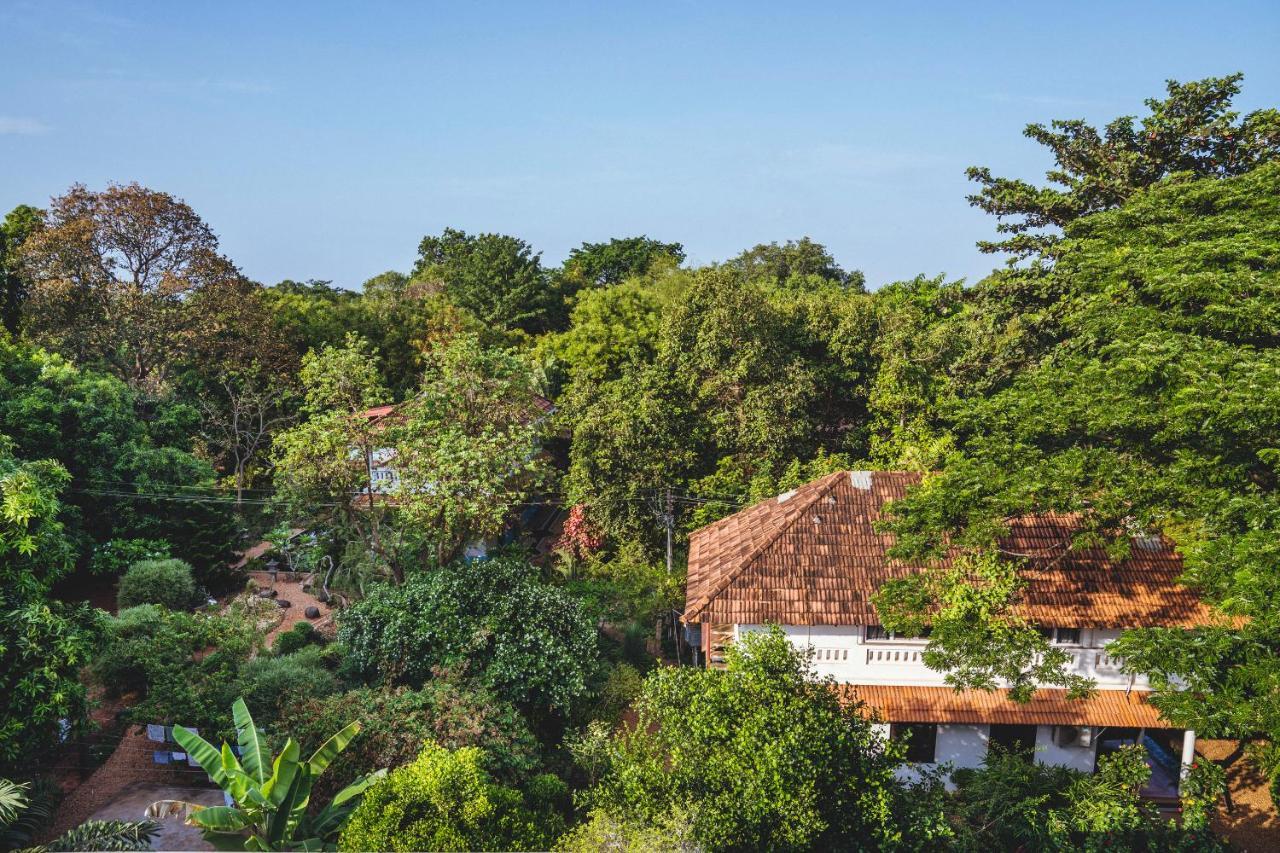 Gaia'S Garden Guest House Auroville Exteriér fotografie