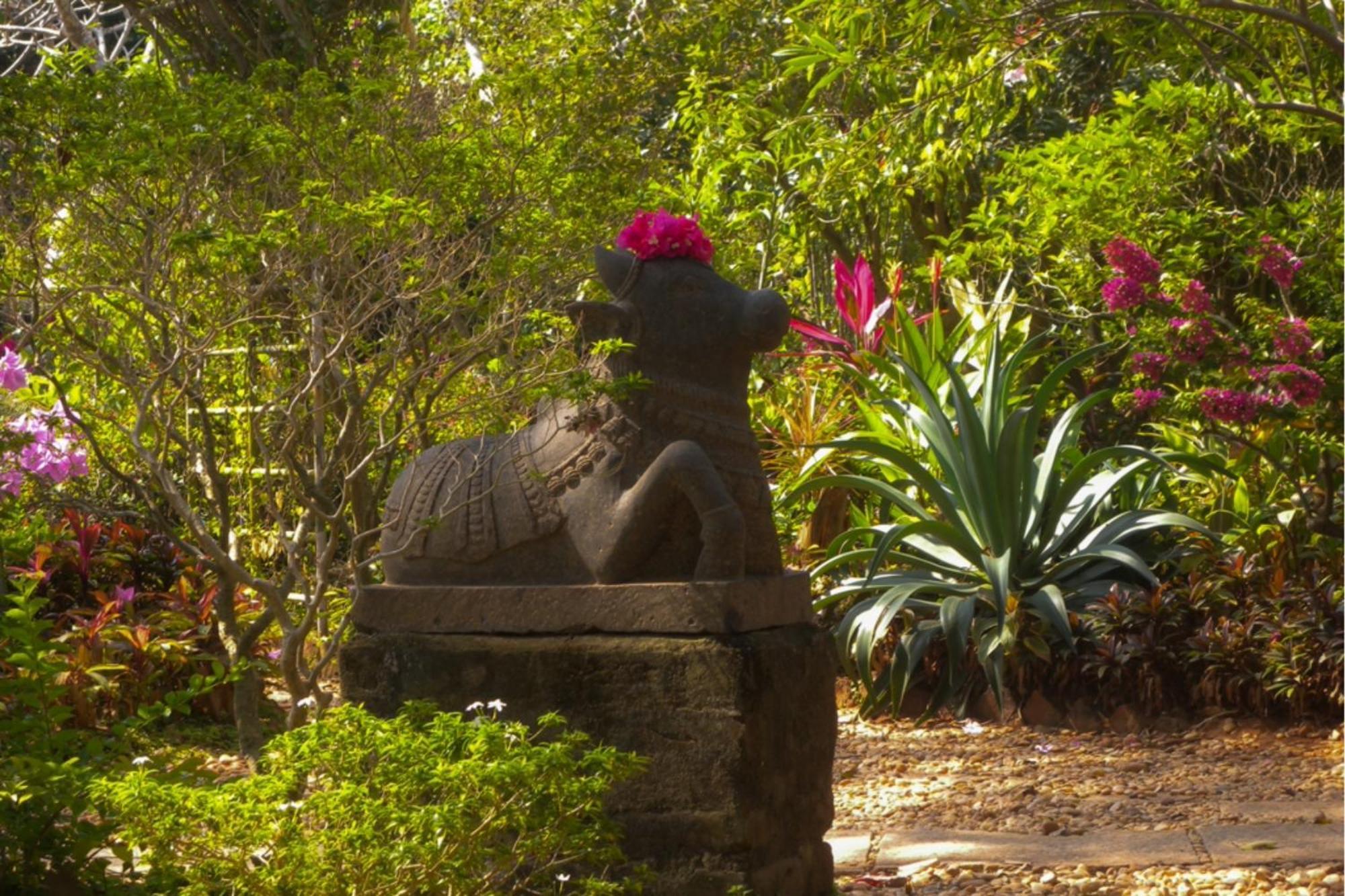 Gaia'S Garden Guest House Auroville Exteriér fotografie