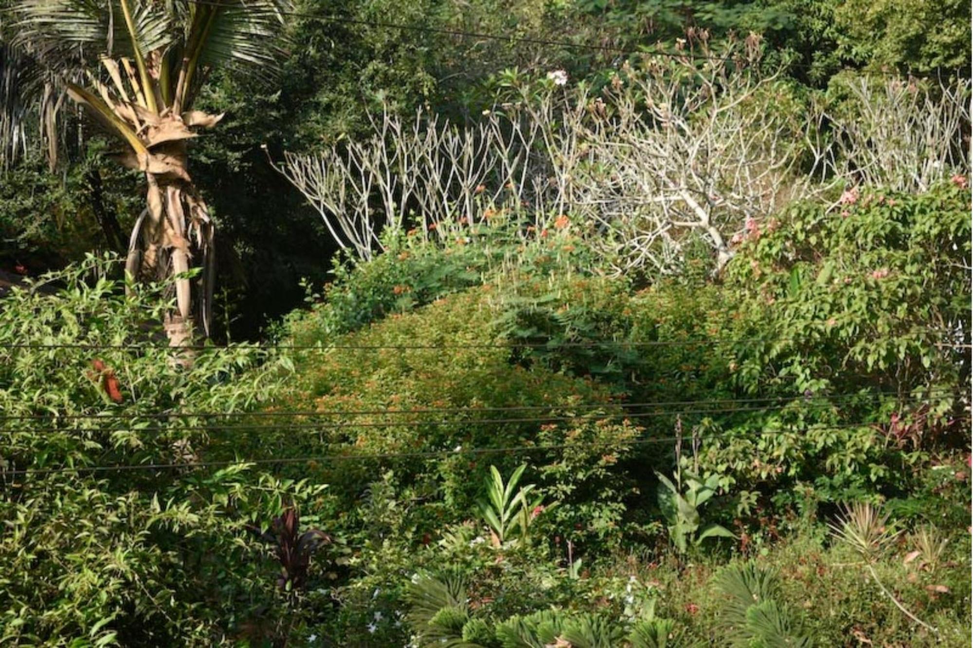Gaia'S Garden Guest House Auroville Exteriér fotografie