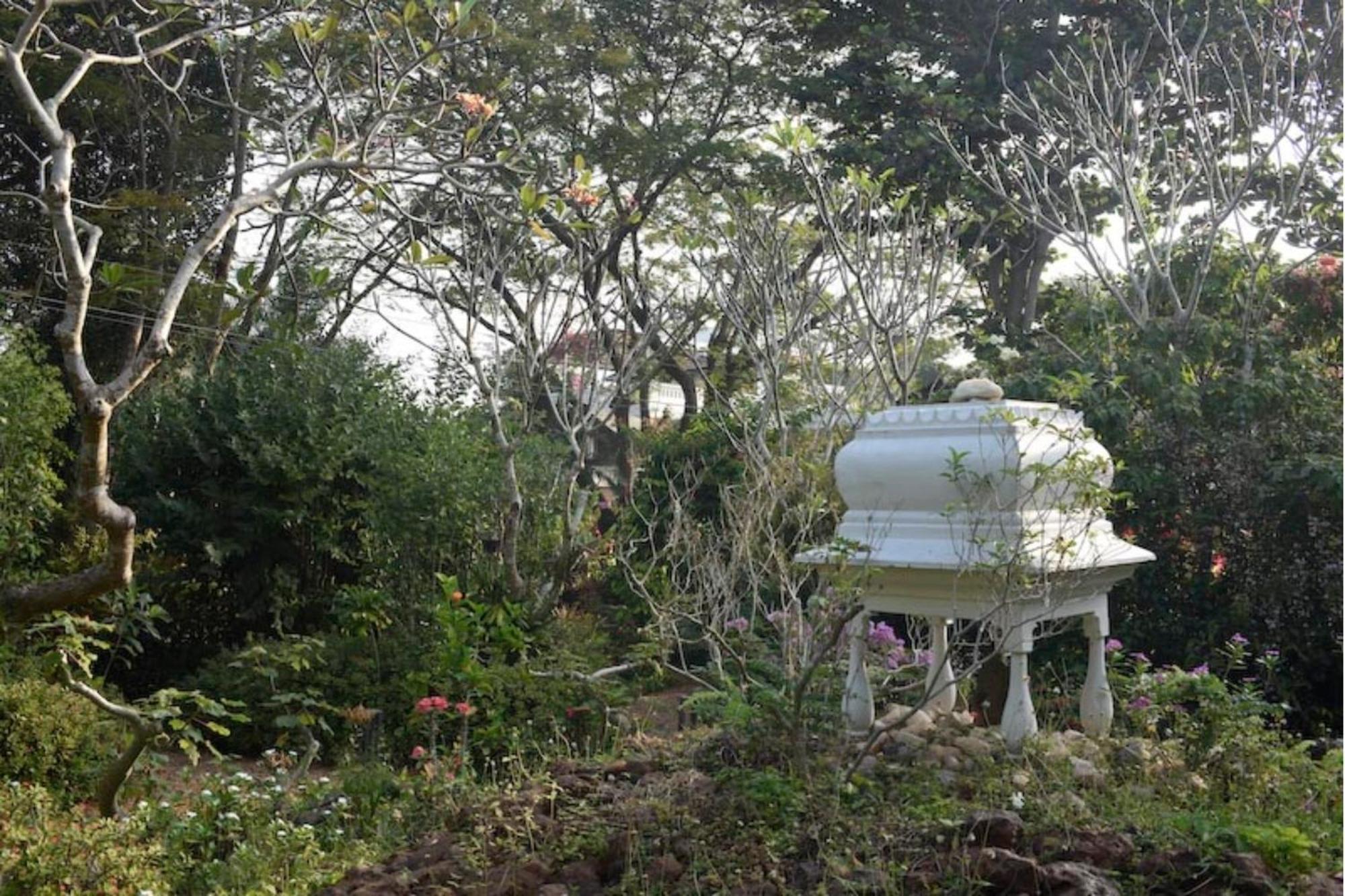 Gaia'S Garden Guest House Auroville Exteriér fotografie