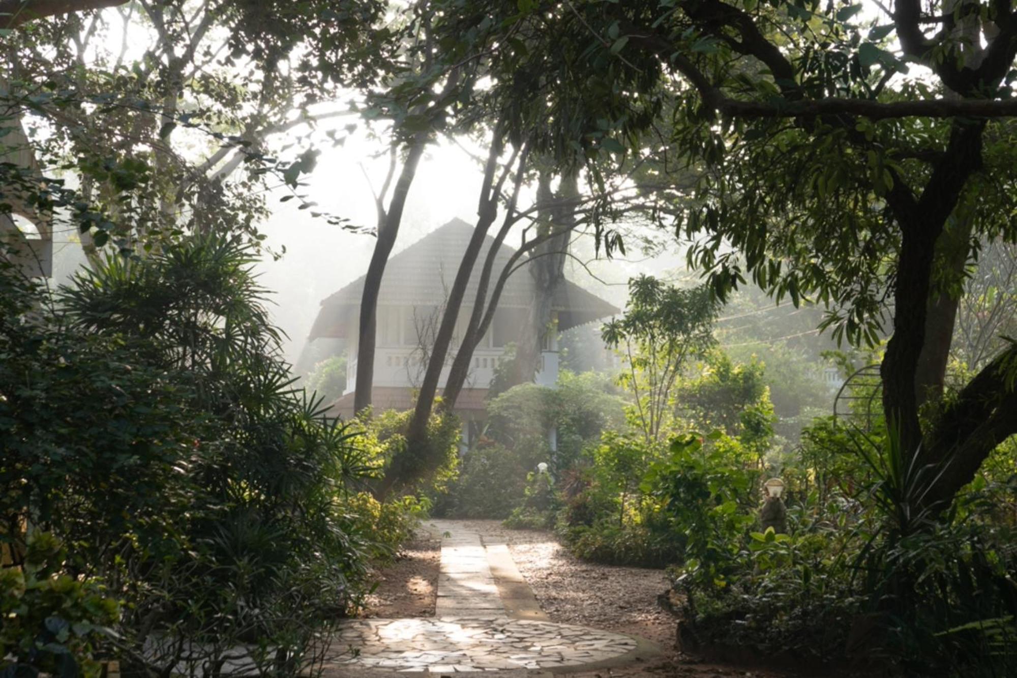 Gaia'S Garden Guest House Auroville Exteriér fotografie