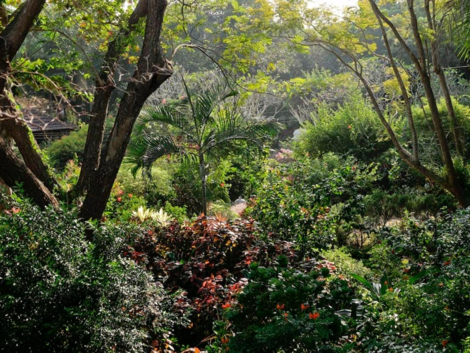 Gaia'S Garden Guest House Auroville Exteriér fotografie
